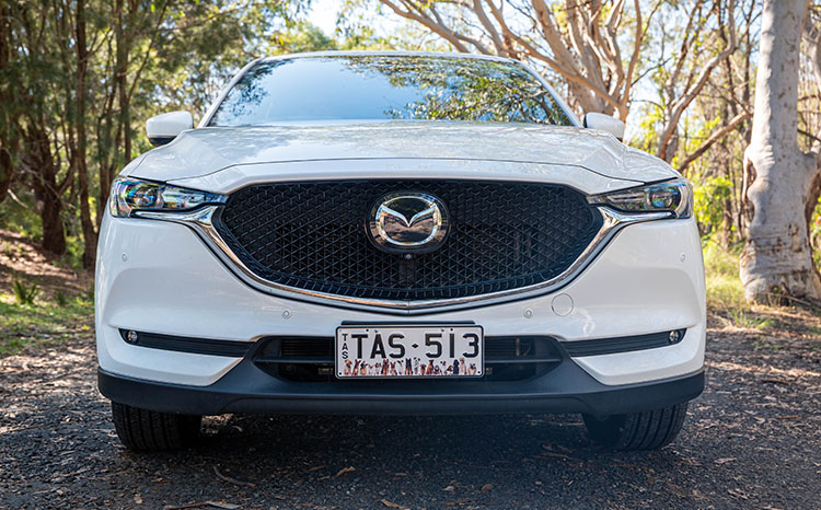 Car - Animals Dog Plate