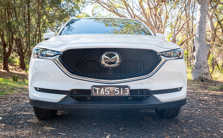 Car - Dark Angel Plate