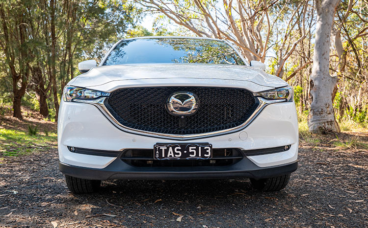 Car - Grey Thorns Plate