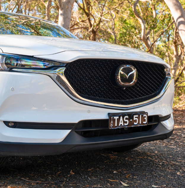 Art Range Grey Thorns plate on White Mazda