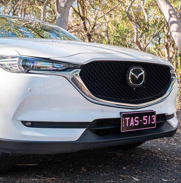 Colour on Black Pink plate on a White Mazda