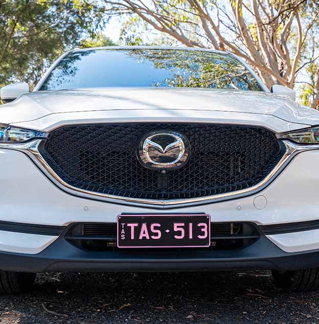 Colour on Black Pink plate on a White Mazda