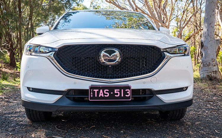 Car - Pink on Black Plate