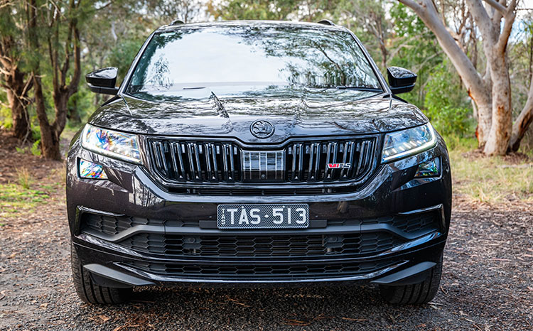 Car - Carbon Fibre Grey Plate